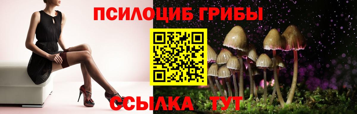 Галлюциногенные грибы Psilocybine cubensis  Вход с VPN  Саранск 